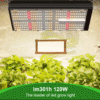 120 W Pro LED – Vollspektrum Growlampe mit 4-Kanal Steuerung