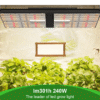 240W LED Growlampe – Vollspektrum & dimmbar