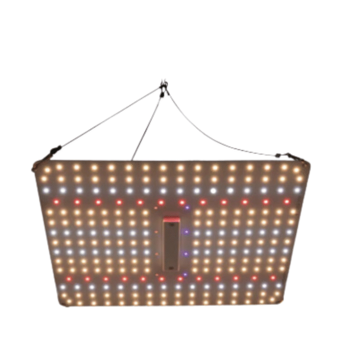 150 W LED Growlampe – Vollspektrum & dimmbar