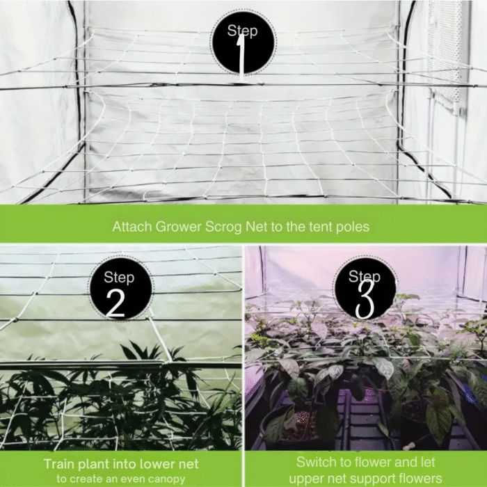 Elastisches SCROG Grow Netz – Pflanzenstütznetz für Indoor-Grow & Training