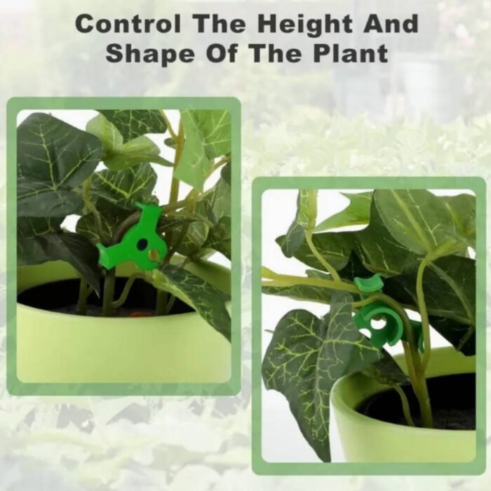 LST-Clip Grün (3) 360° LST Pflanzen-Trainingsclips – Low Stress Training | 10er Pack