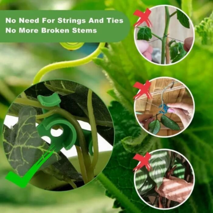 LST-Clip Grün (4) 360° LST Pflanzen-Trainingsclips – Low Stress Training | 10er Pack