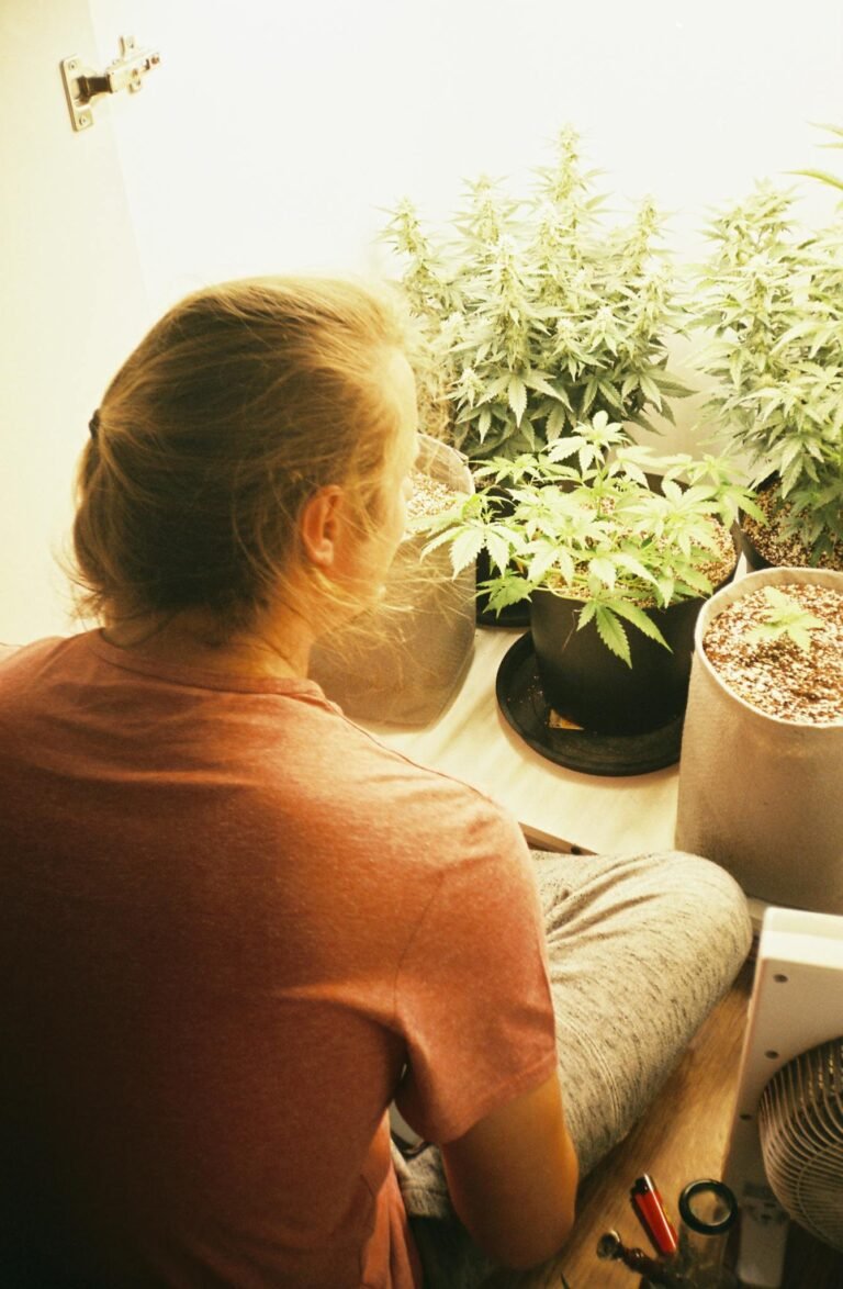 Woman sitting indoors tending to cannabis plants under natural light.