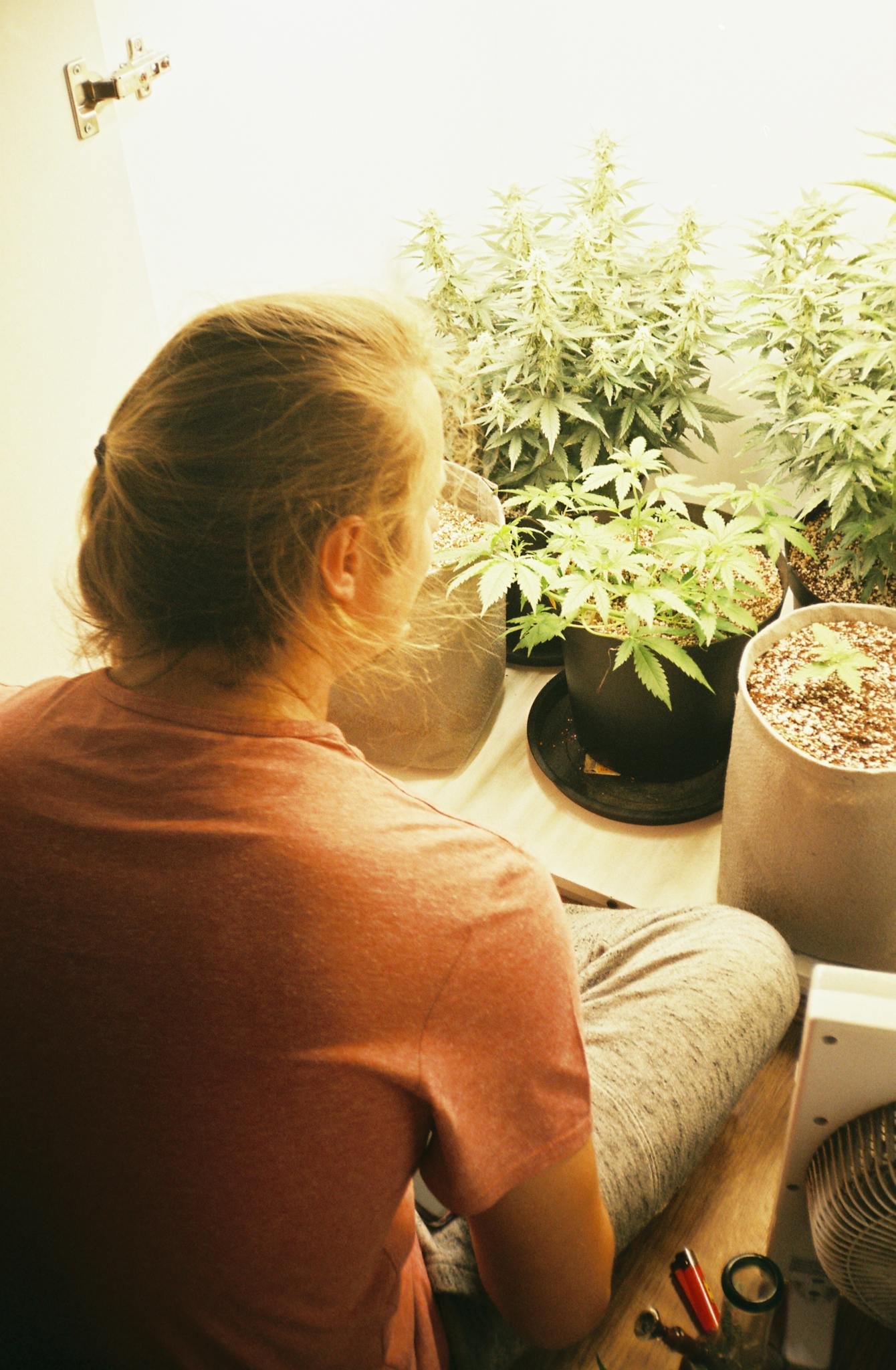 Top 5 Anfängersorten – robust, schnell & ertragreich (beste Cannabis Samen Anfänger) 1 Woman sitting indoors tending to cannabis plants under natural light.